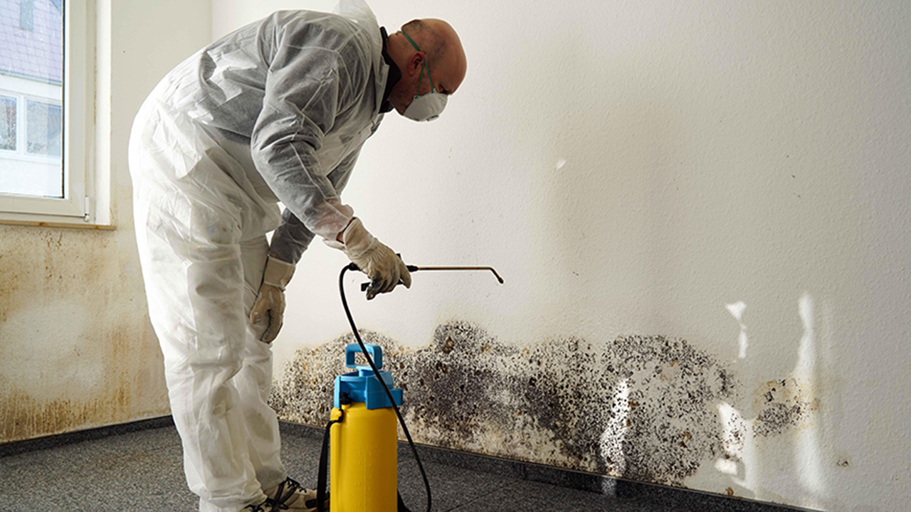 A worker in a protective suit uses a spray tool from a yellow tank to perform mold removal on a wall in a room with visible water damage.