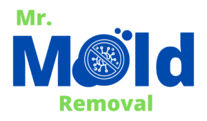 Logo of "Mr. Mold Removal & Water Damage Restoration" featuring stylized text with "mr." in green and "removal" in blue, and a blue circle with a white mold spore