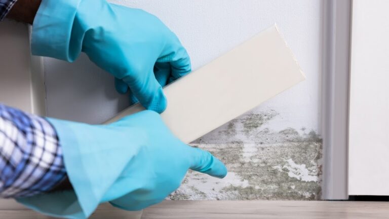 Gloved hands working on a window surround