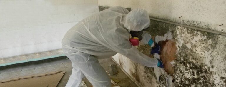 Worker in protective clothing at an affected wall