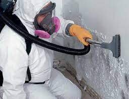 Mold Removal Process New Westminster