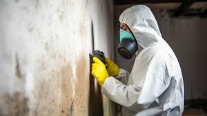 Mold Removal Process London